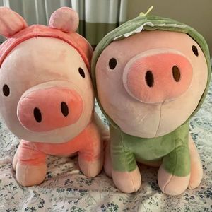 Meet your Posher, Choua